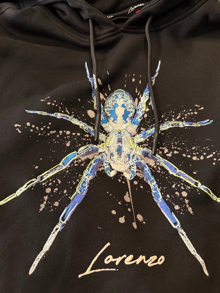 Erkek Siyah Kapüşonlu İşlemeli Sweatshirt - Görsel 2