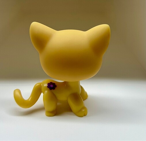  Miniş