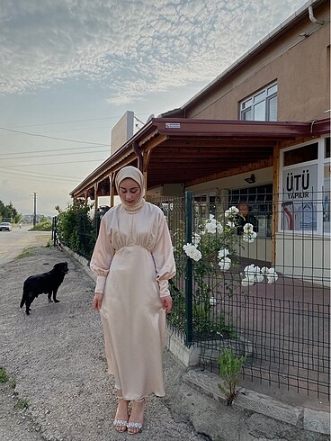 Zara Pudra elbise