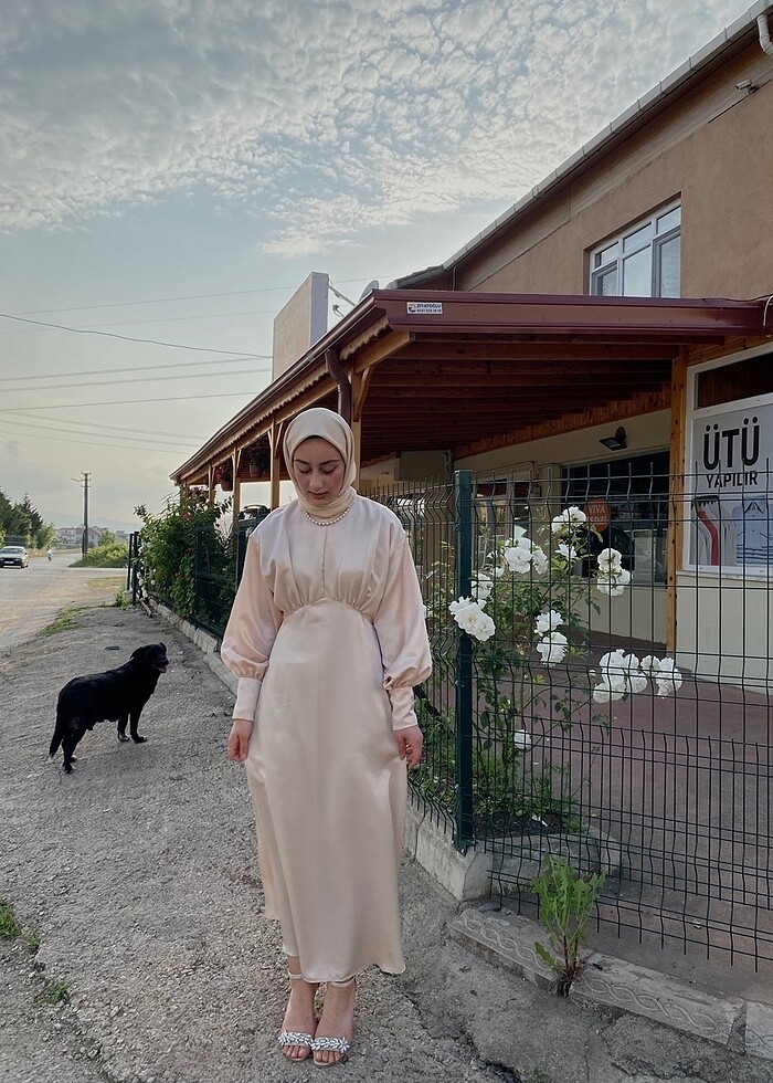 Pudra elbise - Görsel 2