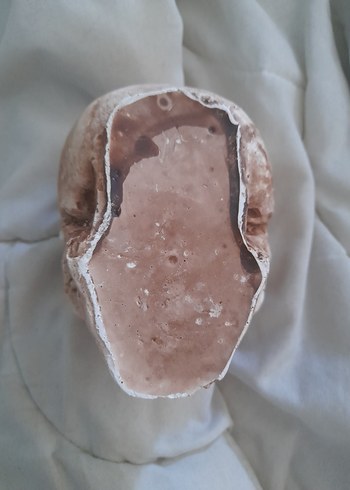 kurukafa skull küllük - Görsel 3