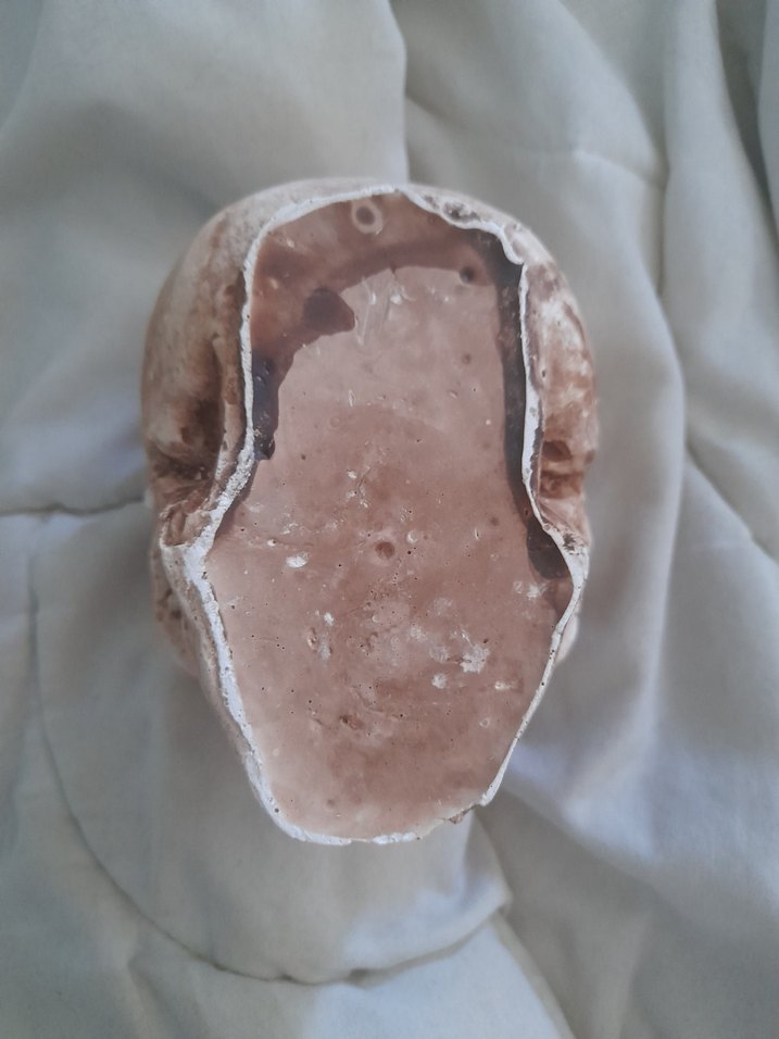 kurukafa skull küllük - Görsel 3