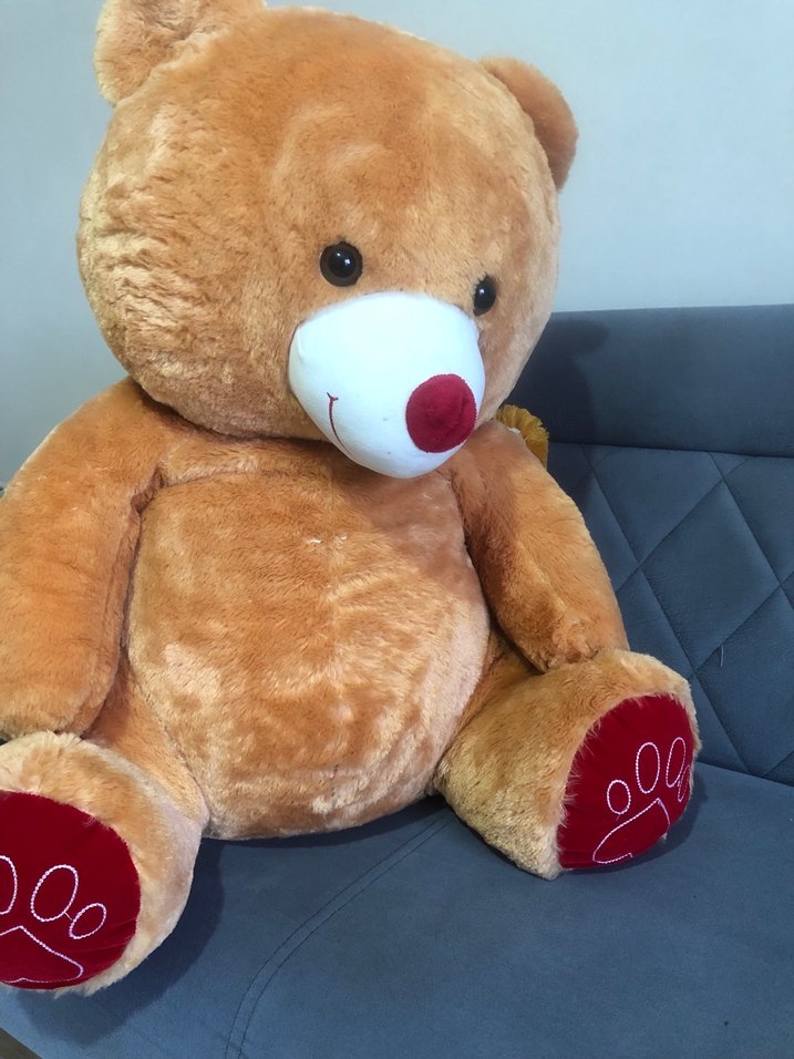 Büyük Yumuşak Kahverengi Peluş Ayı Oyuncak - Görsel 2