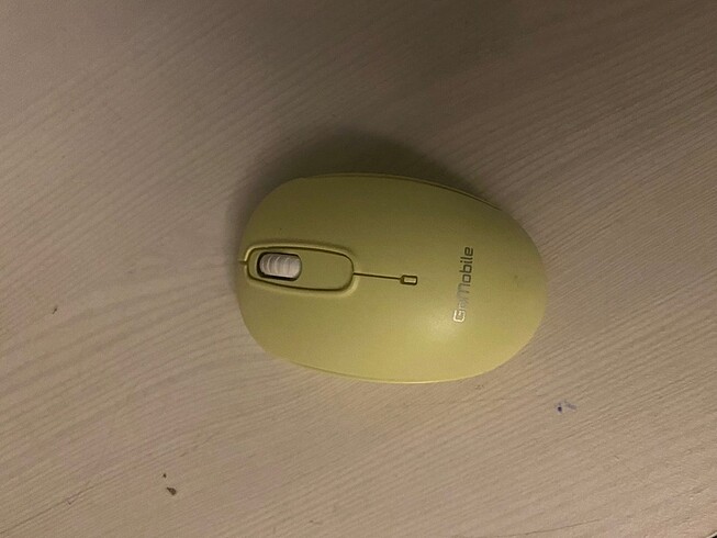 Mouse