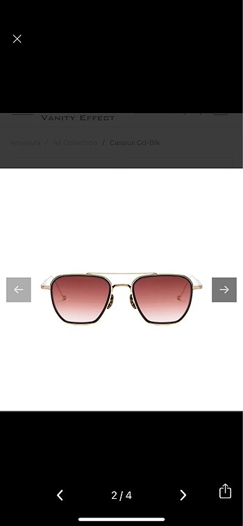 Ray Ban Vanity Effect Kadın Kahve güneş gözlüğü