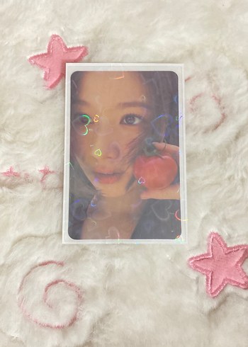 Domates sana pc