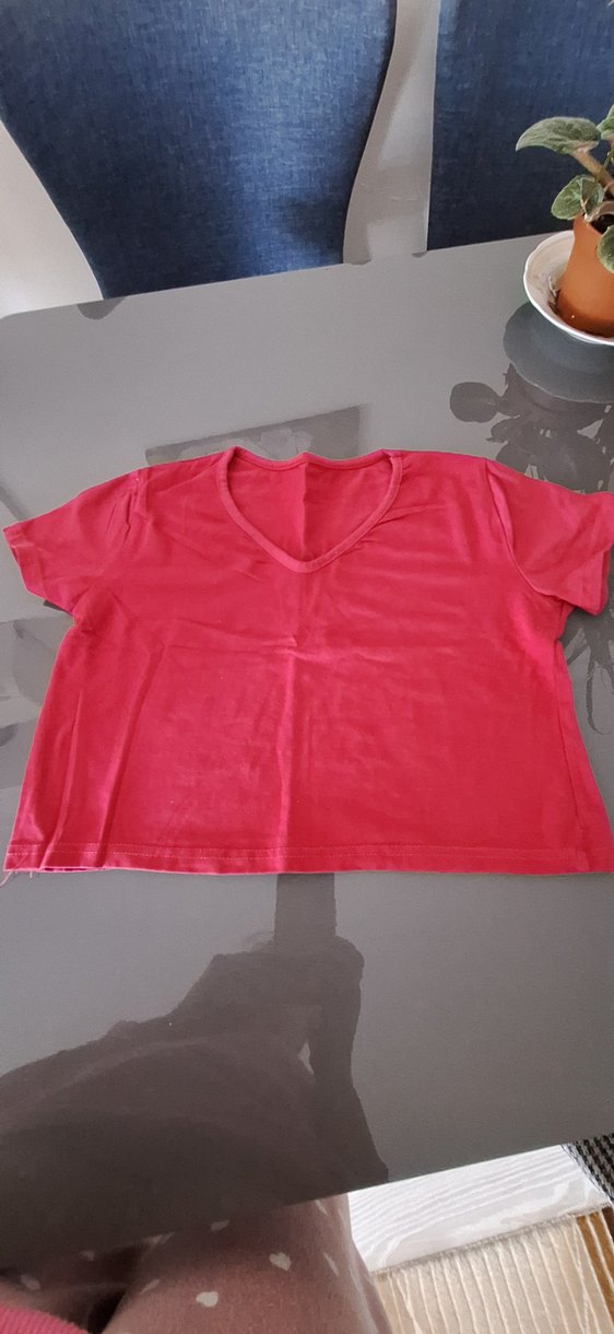 Pembe V Yaka Kısa Kollu krop Tişört - Görsel 2