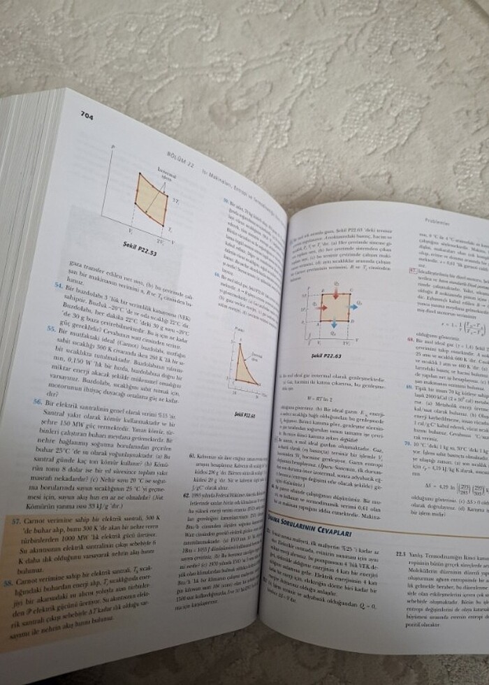 Seray Beichner-Fizik1 (Mekanik, mekanik dalgalar, Termodinamik) - Görsel 2