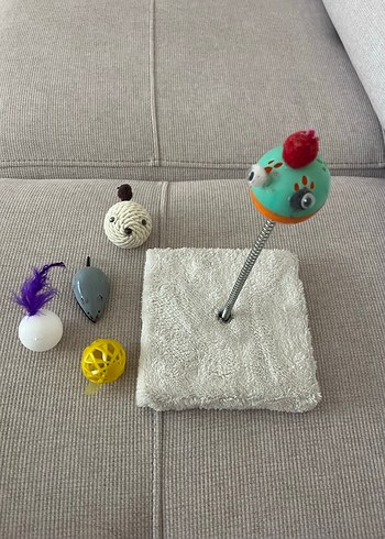 Beden Kedi oyuncakları