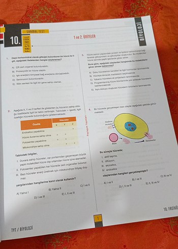 Beden Renk TYT Biyoloji Anlatım Fasikülü - Paylaşım Yayınları
