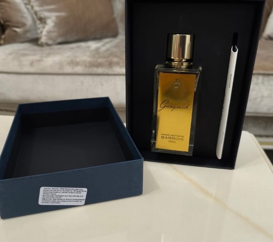 Ganymede - Görsel 2