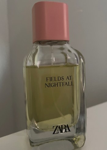 Zara Fields at Nightfall