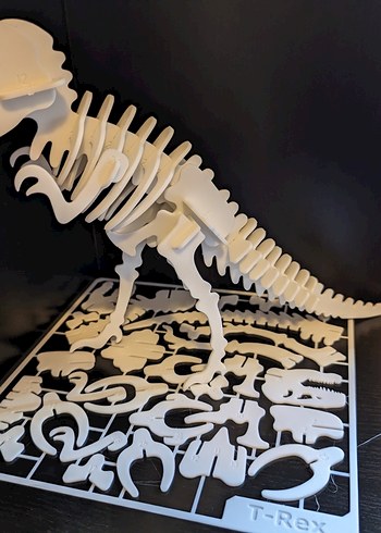 Beyaz Gri Dinozor İskeleti Aksiyon Figürü - Görsel 2