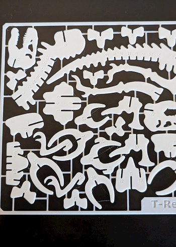 Beyaz Gri Dinozor İskeleti Aksiyon Figürü - Görsel 3