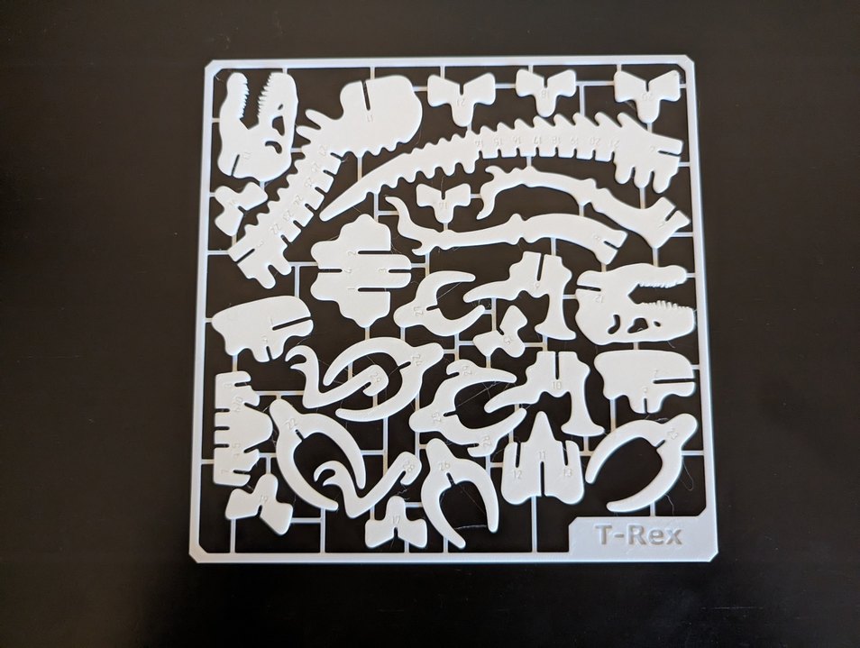 Beyaz Gri Dinozor İskeleti Aksiyon Figürü - Görsel 3