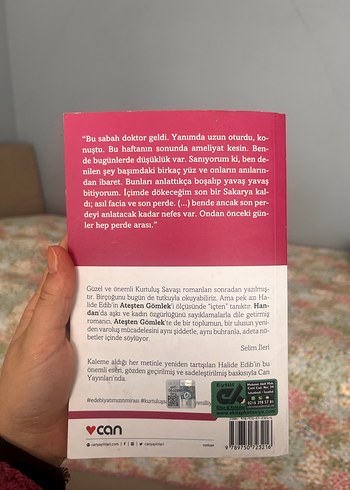 Ateşten Gömlek - Halide Edib Adıvar - Görsel 2