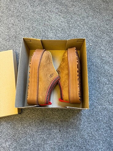 Ugg tazz