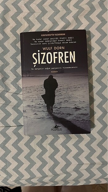 Şizofren / Wulf Dorn