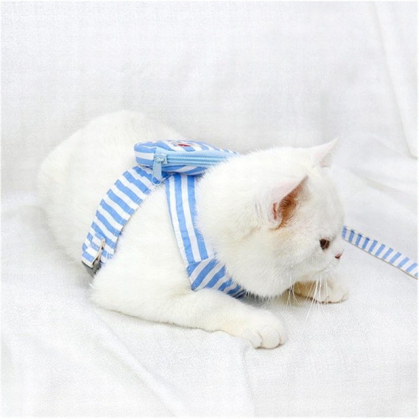 Evcil Hayvan Çantalı Göğüs Gezdirme Tasması Seti - Görsel 3