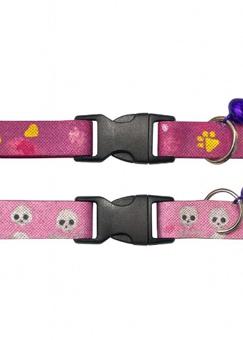 Renkli Kedi Zili Tasması Seti - Görsel 4