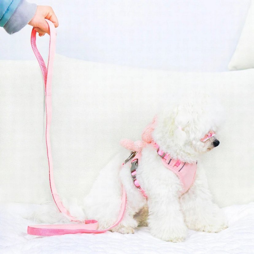 EVCİL HAYVAN PELUŞ AYICIKLI GÖĞÜS GEZDİRME TASMASI SETİ - Görsel 4