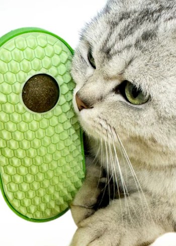 silikon kaşıyıcılı kedi otu - Görsel 3