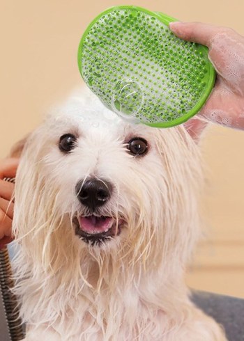 basmalı telli su sprel hazneli hayvan tarağı - Görsel 3