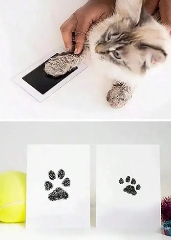 kedi köpek pati izi fotoğraf çerçevesi seti - Görsel 2