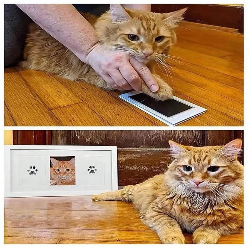 kedi köpek pati izi fotoğraf çerçevesi seti - Görsel 5