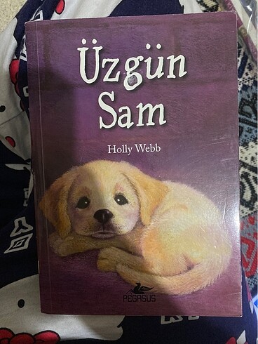 Üzgün sam