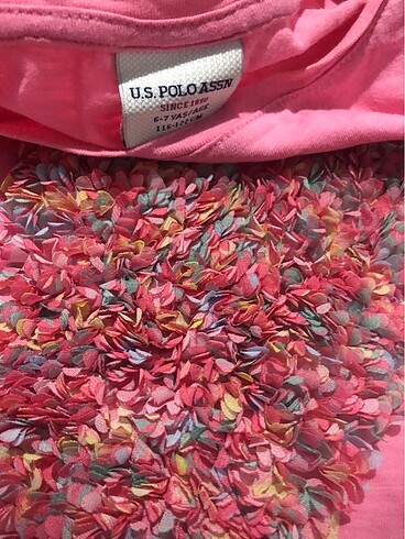 U.S Polo Assn. Tişört