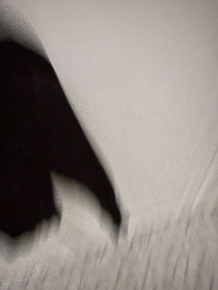 Kadın Siyah Boğazlı Pilili Triko - Görsel 4