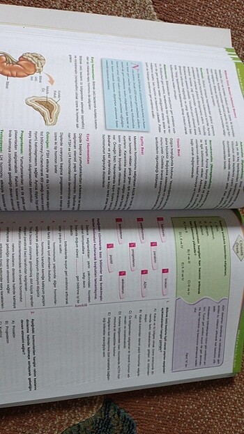 11.sınıf biyoloji karekök yayınları - Görsel 2