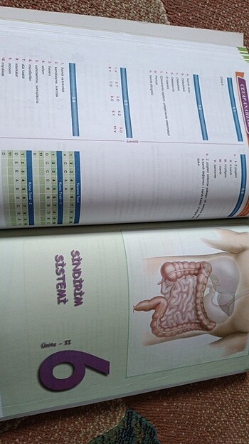 11.sınıf biyoloji karekök yayınları - Görsel 4