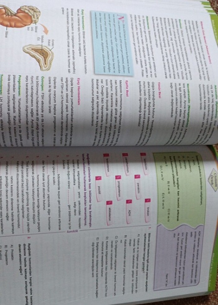 11.sınıf biyoloji karekök yayınları - Görsel 2