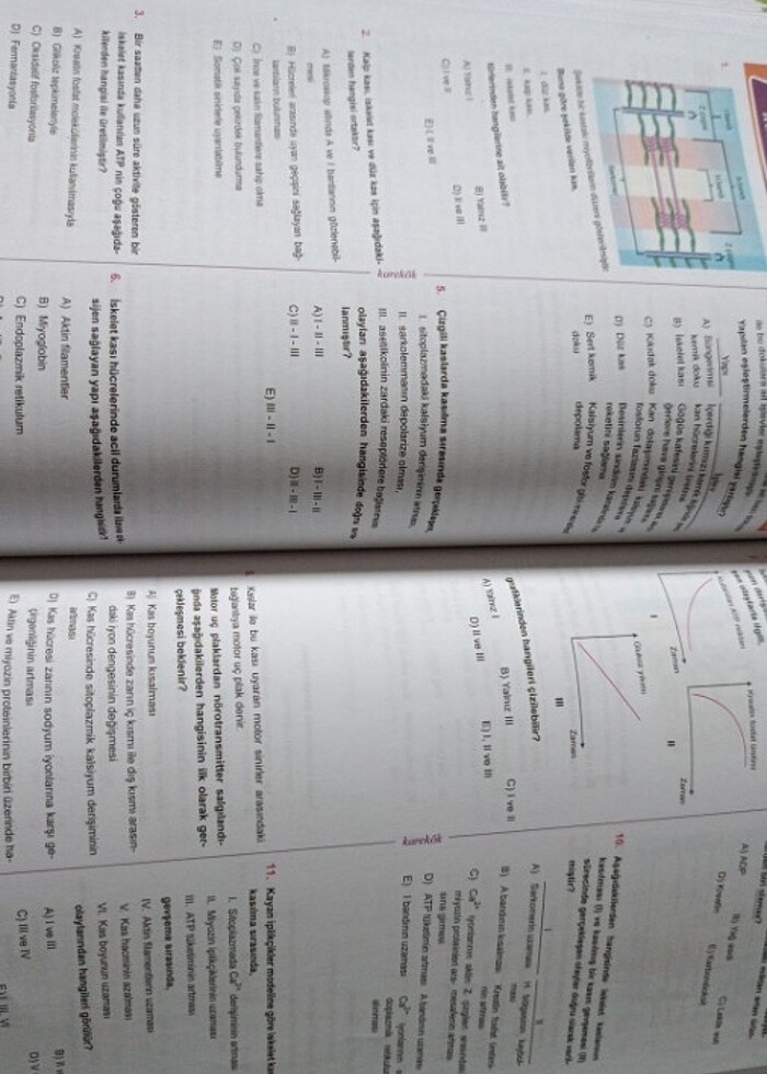 11.sınıf biyoloji karekök yayınları - Görsel 3