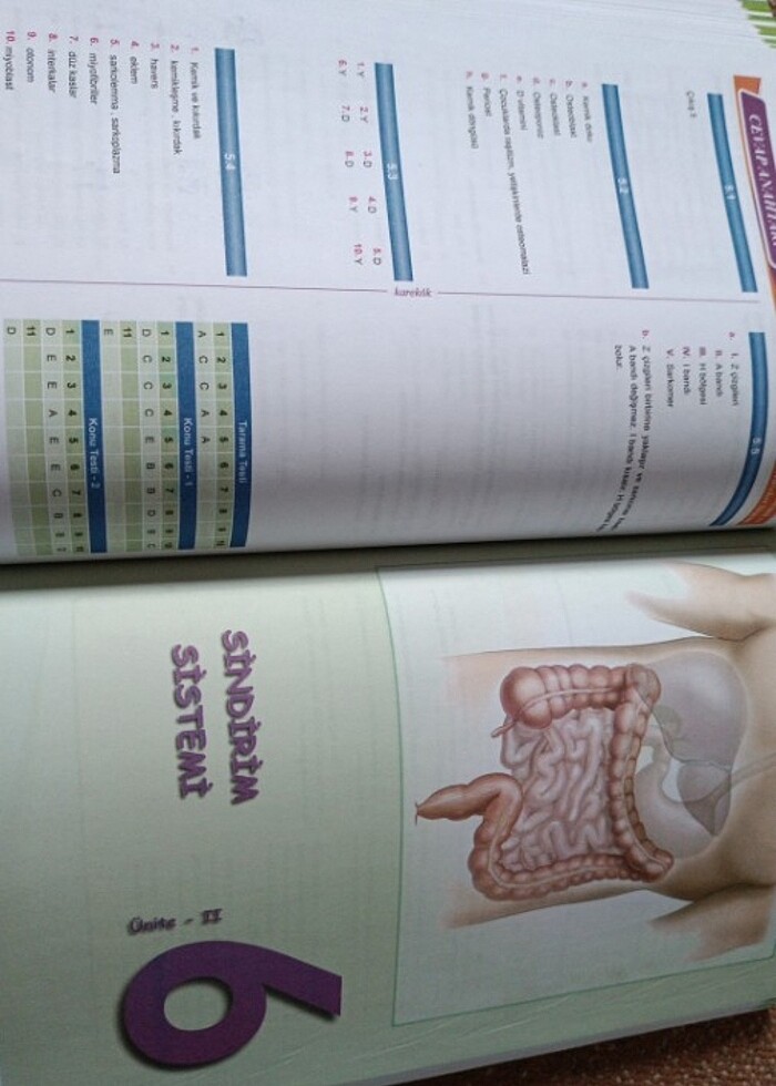 11.sınıf biyoloji karekök yayınları - Görsel 4