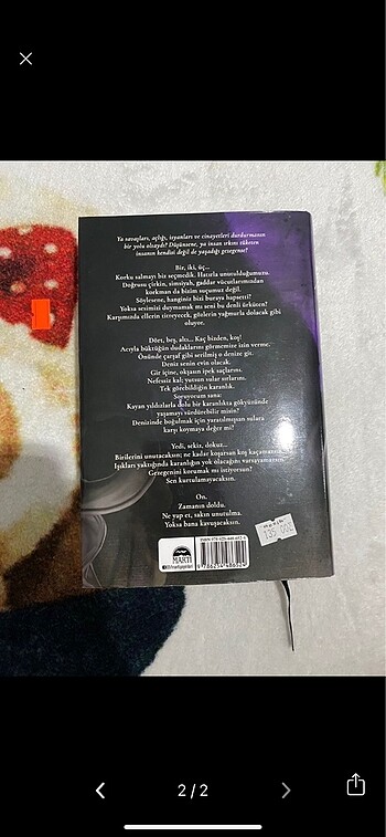 Kitaplar - Görsel 2