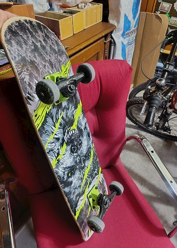 Gri Kaykay. oxelo tertemiz - Görsel 3