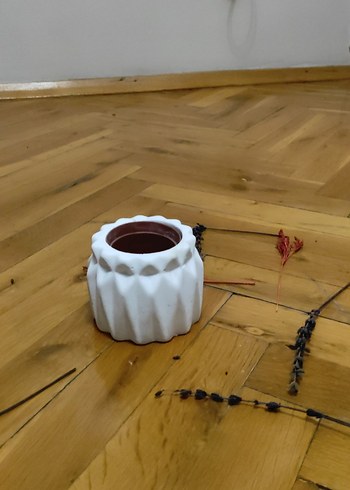 saksılık - Görsel 5