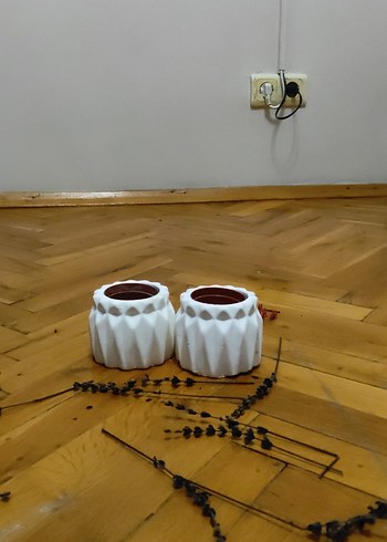 saksılık - Görsel 9