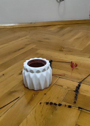 saksılık - Görsel 4