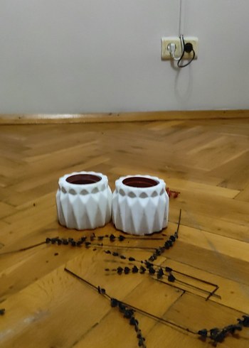 saksılık - Görsel 10