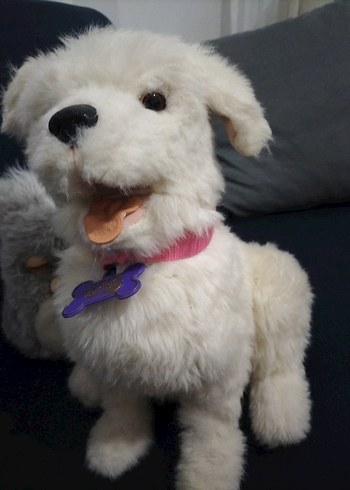 fur real friends Cookie