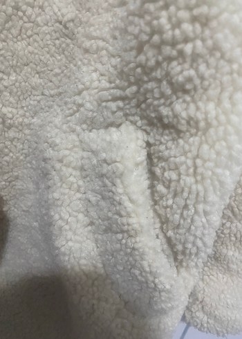 Uzun Krem Rengi Peluş Kaban - Görsel 4