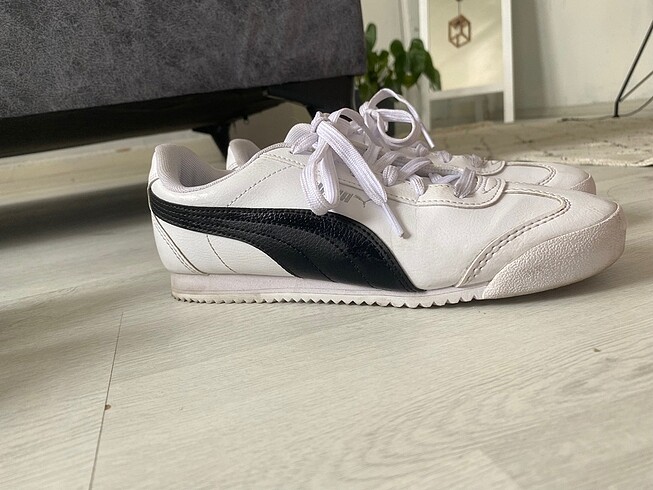 Puma Orj puma