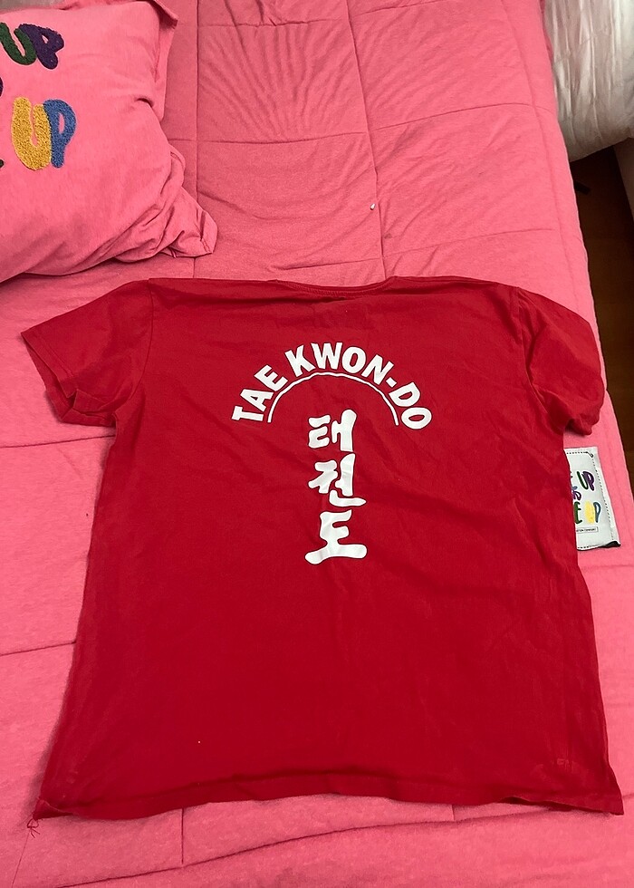 HAKUOF TAEKWONDO TİŞÖRT - Görsel 3