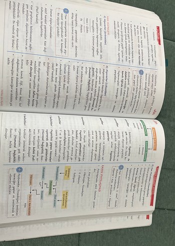 Herkes İçin Biyoloji Konu Anlatımlı Defter - Görsel 3