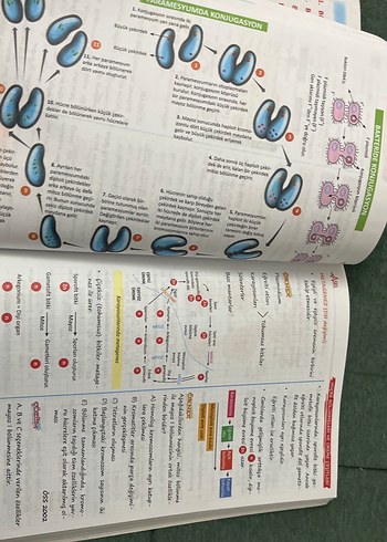 Herkes İçin Biyoloji Konu Anlatımlı Defter - Görsel 2