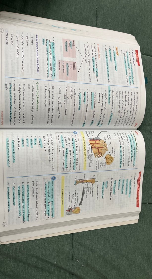Herkes İçin Biyoloji Konu Anlatımlı Defter - Görsel 5